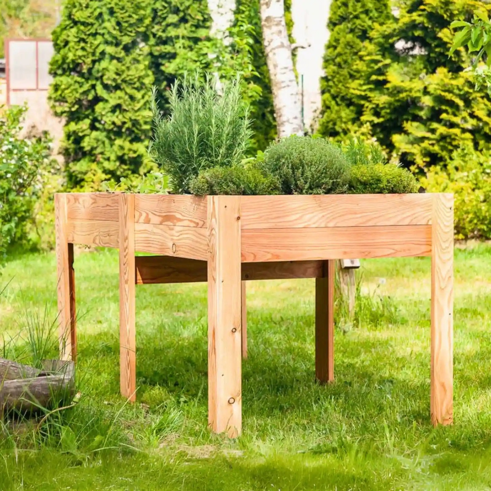 eng_pl_Maggie-Veggie-Bed-Larch-306_1 Horta em madeira - 80x80x120/160 - Maggie Larch - Image 1