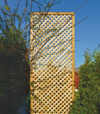 eng pl Privacy Diamond Trellis 89 5 In&iacute;cio